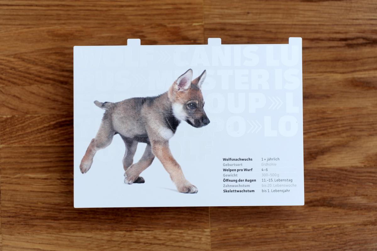 Musterbox (40).JPG